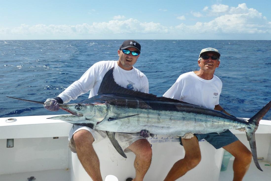 things to do in punta cana dominican republic swordfish fishing picture