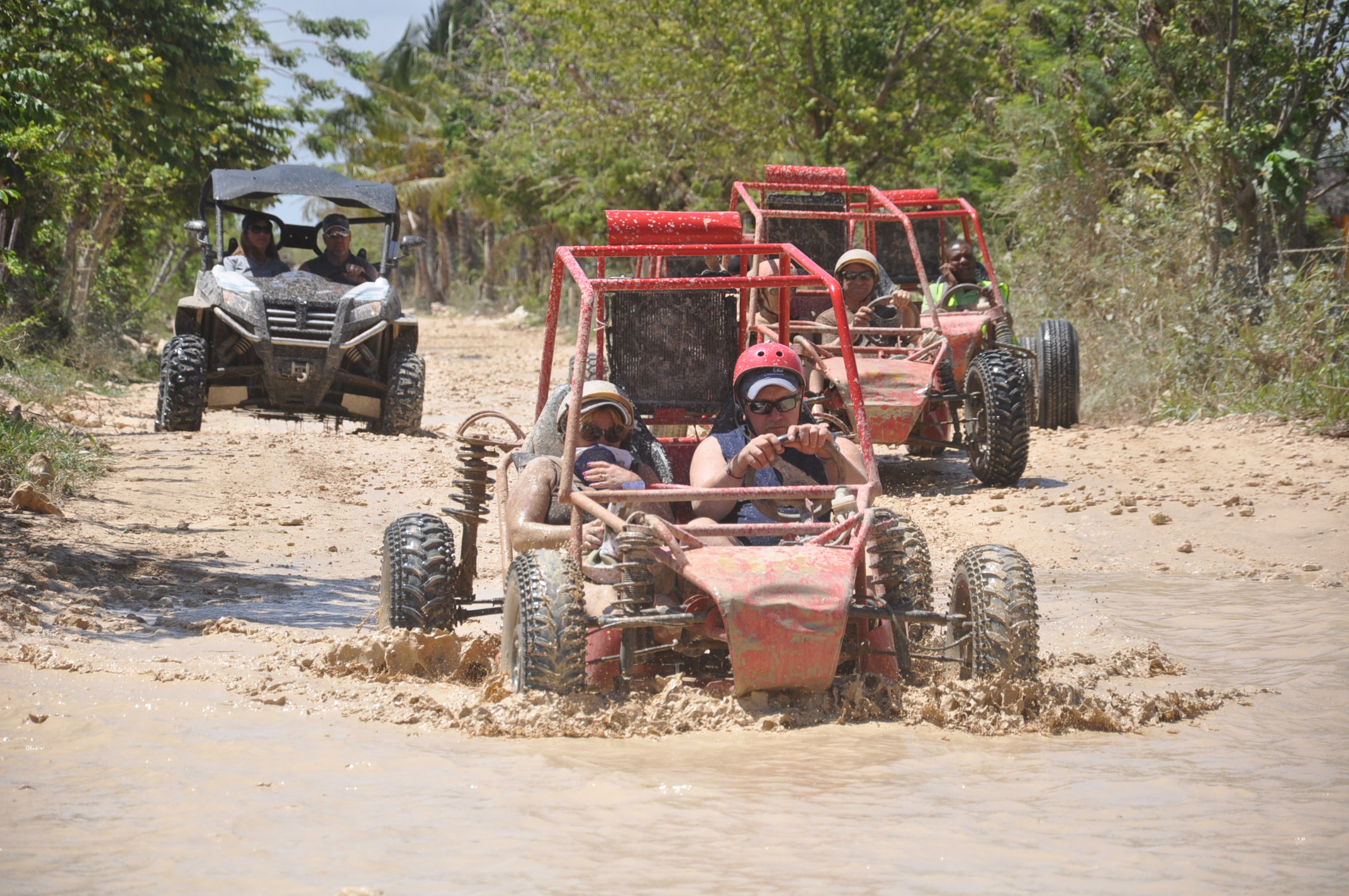 buggy tours near me